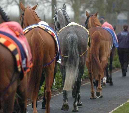 What Is Best Turned Out Great British Racing What Is Best Turned Out Great British Racing