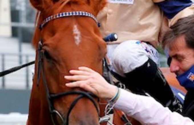 Hambleton Racing - In The Paddock