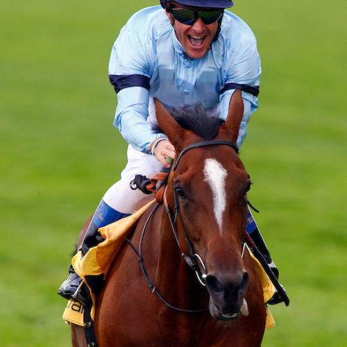 Harbinger Highclere Racing Harbinger Highclere Racing