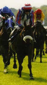 Double-R-Racing - In The Paddock