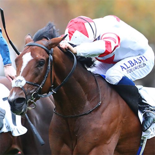 Website_Main_Template