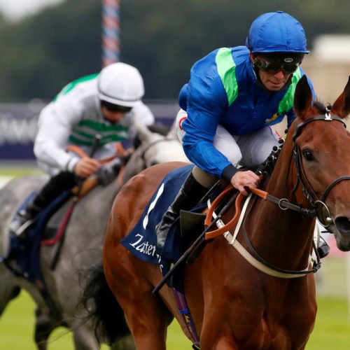 Rose of Kildare Kingsley Park