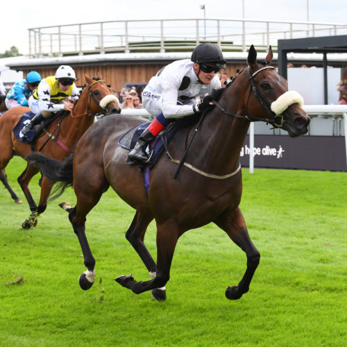 Judicial and Callum Rodriguez winning The listed Children’s Air Ambulance Queensferry Stakes at Chester Judicial and Callum Rodriguez winning The listed Children's Air Ambulance Queensferry Stakes at Chester