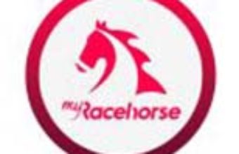 Website_Profile_Template