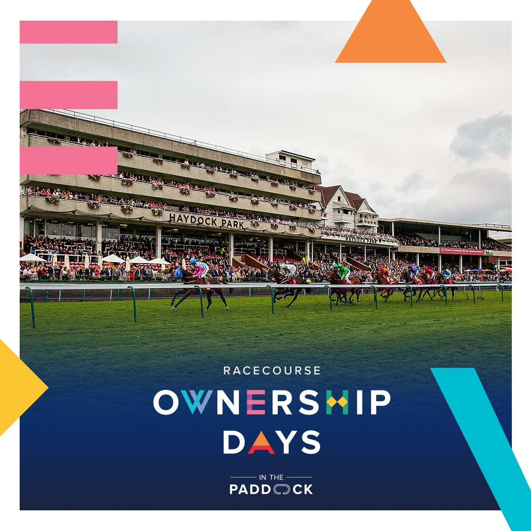 Win a Racehorse Ownership Experience at Haydock Park - In The Paddock