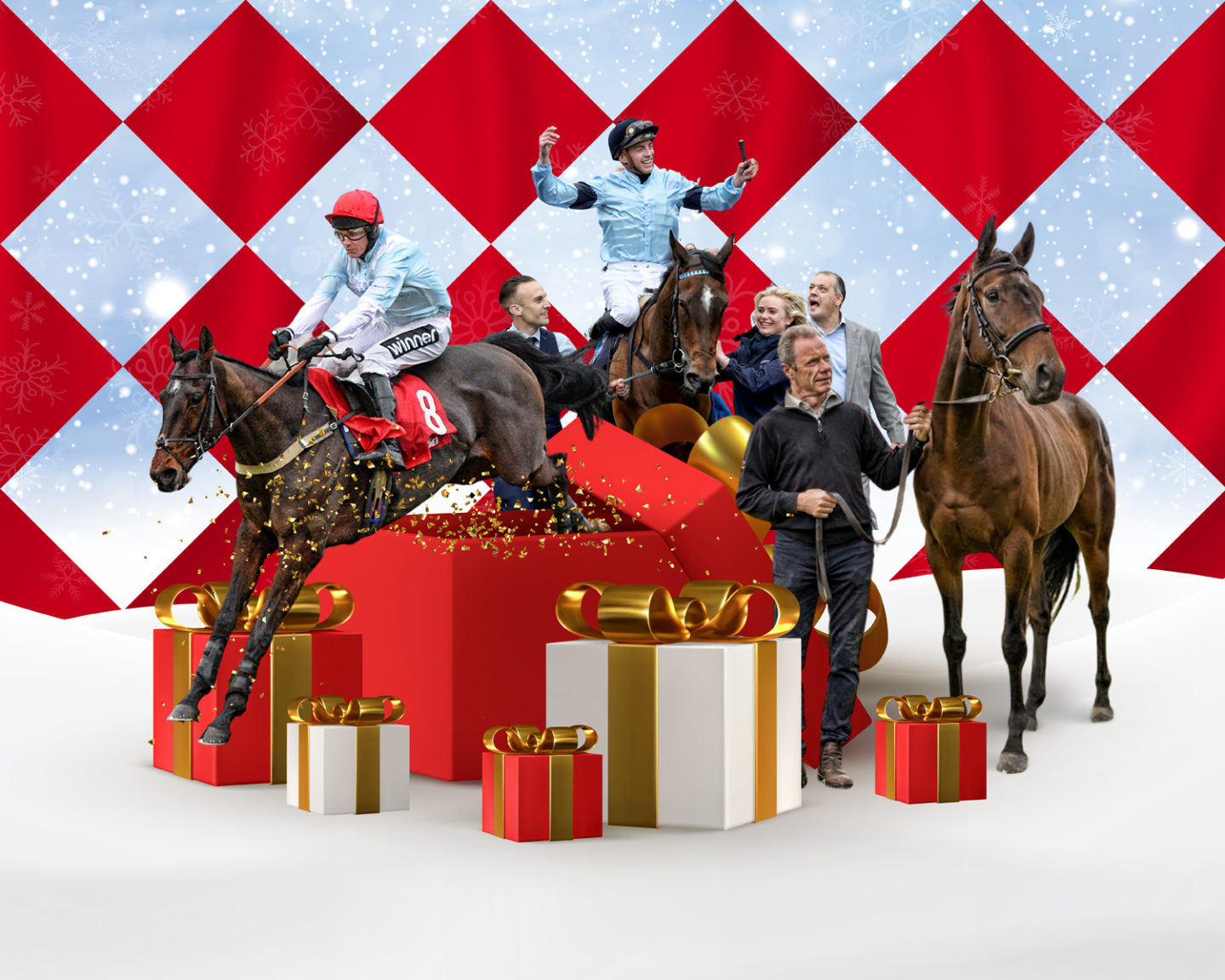 Gift A Share in A Racehorse This Christmas In The Paddock