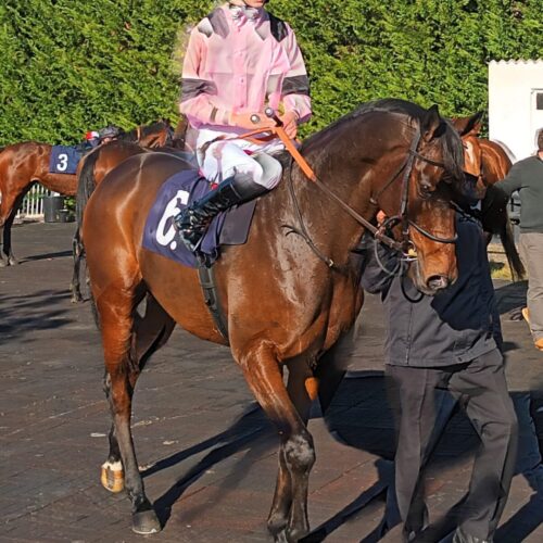 All Weather Racing Club - In The Paddock