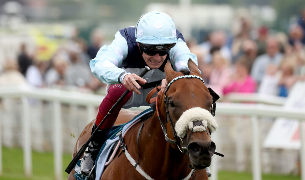 Regional wins At York Racecourse