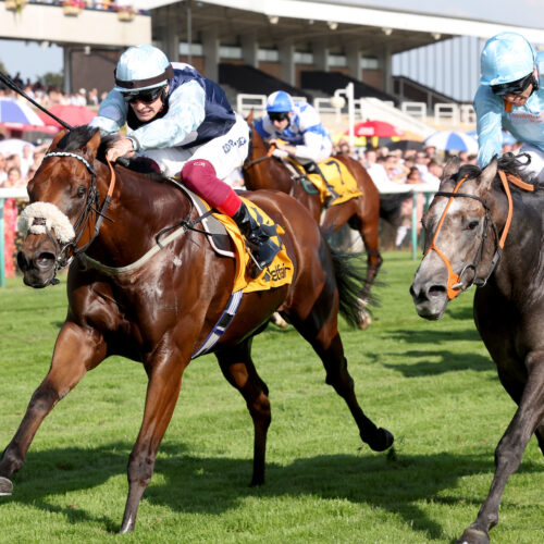 Regional-wins the sprint cup