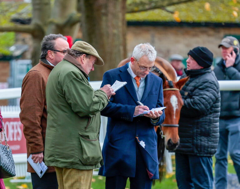 Cheltenham Races Paddock Cheltenham Ownership Day - In The Paddock