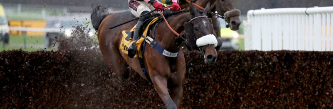 Trelawne Haydock