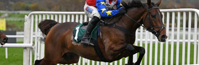 Ace Of Spades winning at Cheltenham in November of 2024.