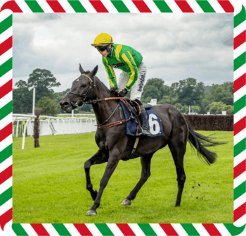 Bishops Hill – CGG