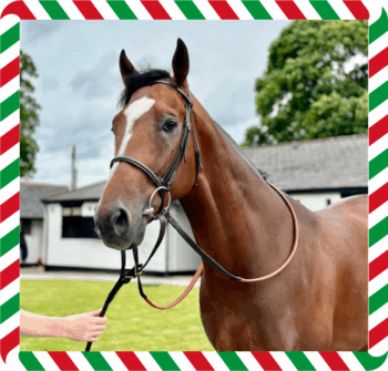 Blackwaterfoot – CGG