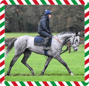 Copshill Lad – CGG-2