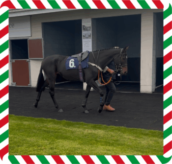 He’ll Stop at the Top – CGG