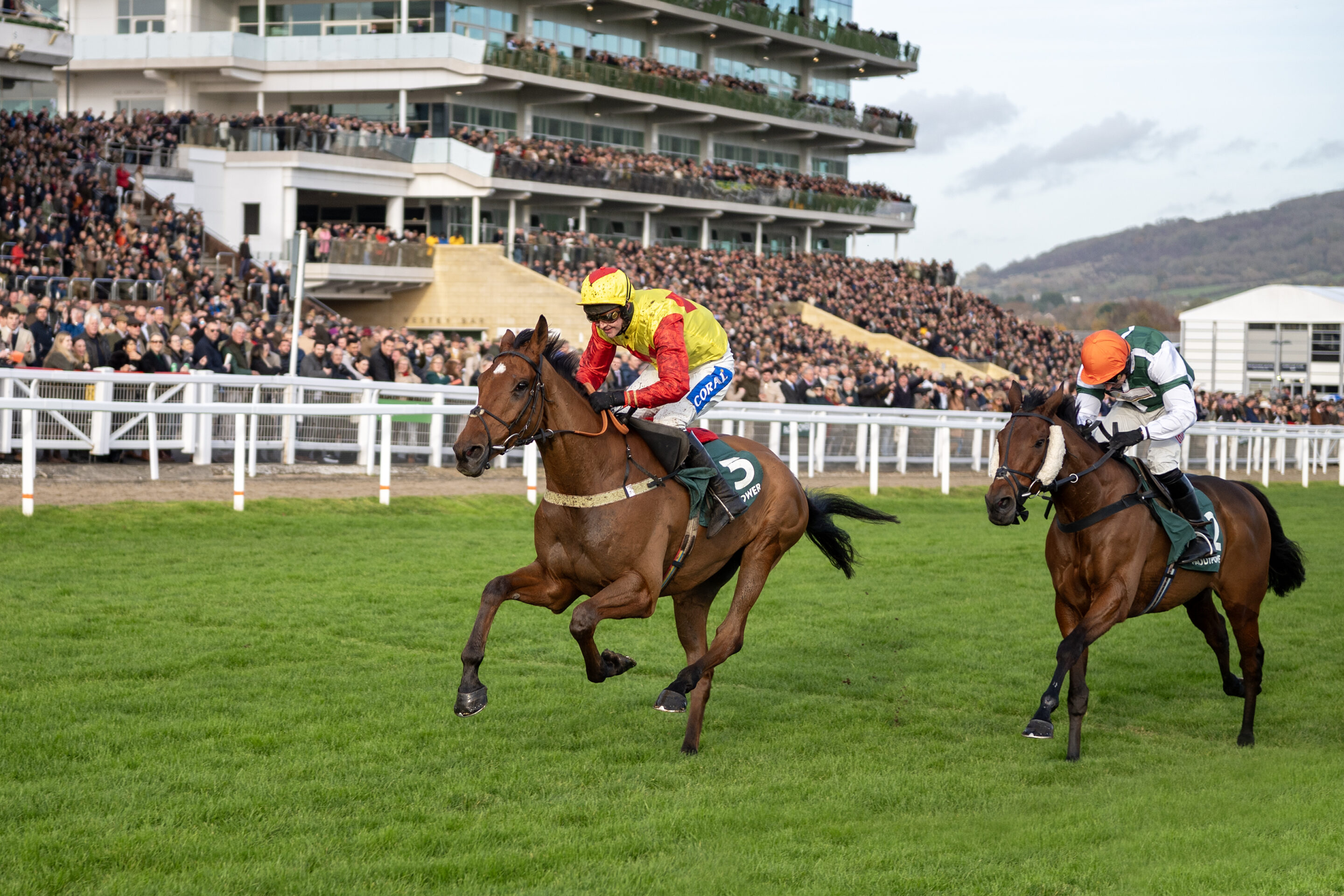 Cheltenham Races Paddock CHELTENHAM RETURN FOR PARTNERSHIP STAR - In The Paddock