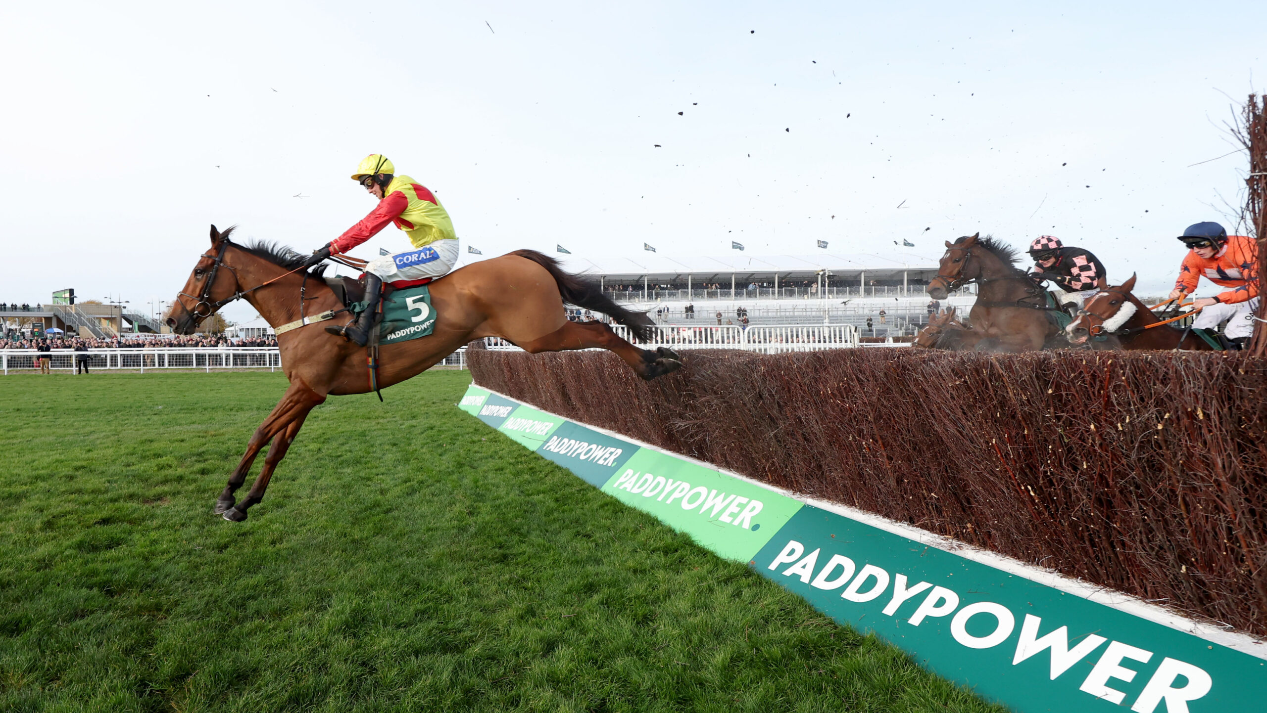 Cheltenham Races Paddock CHELTENHAM RETURN FOR PARTNERSHIP STAR - In The Paddock