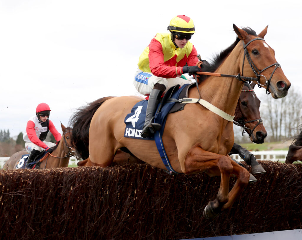 Triple Trade mid fence