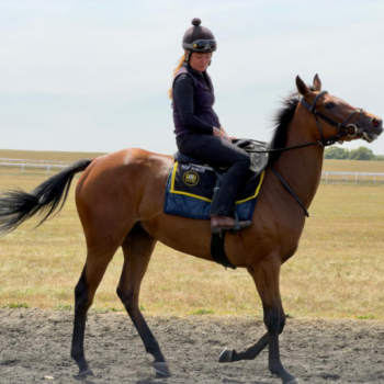Vesper Solis 2